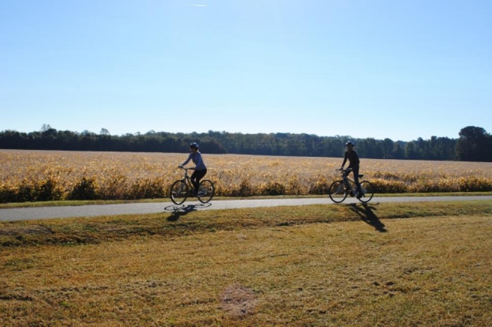 在弗吉尼亚州威廉斯堡的自行车维吉尼亚首都小道